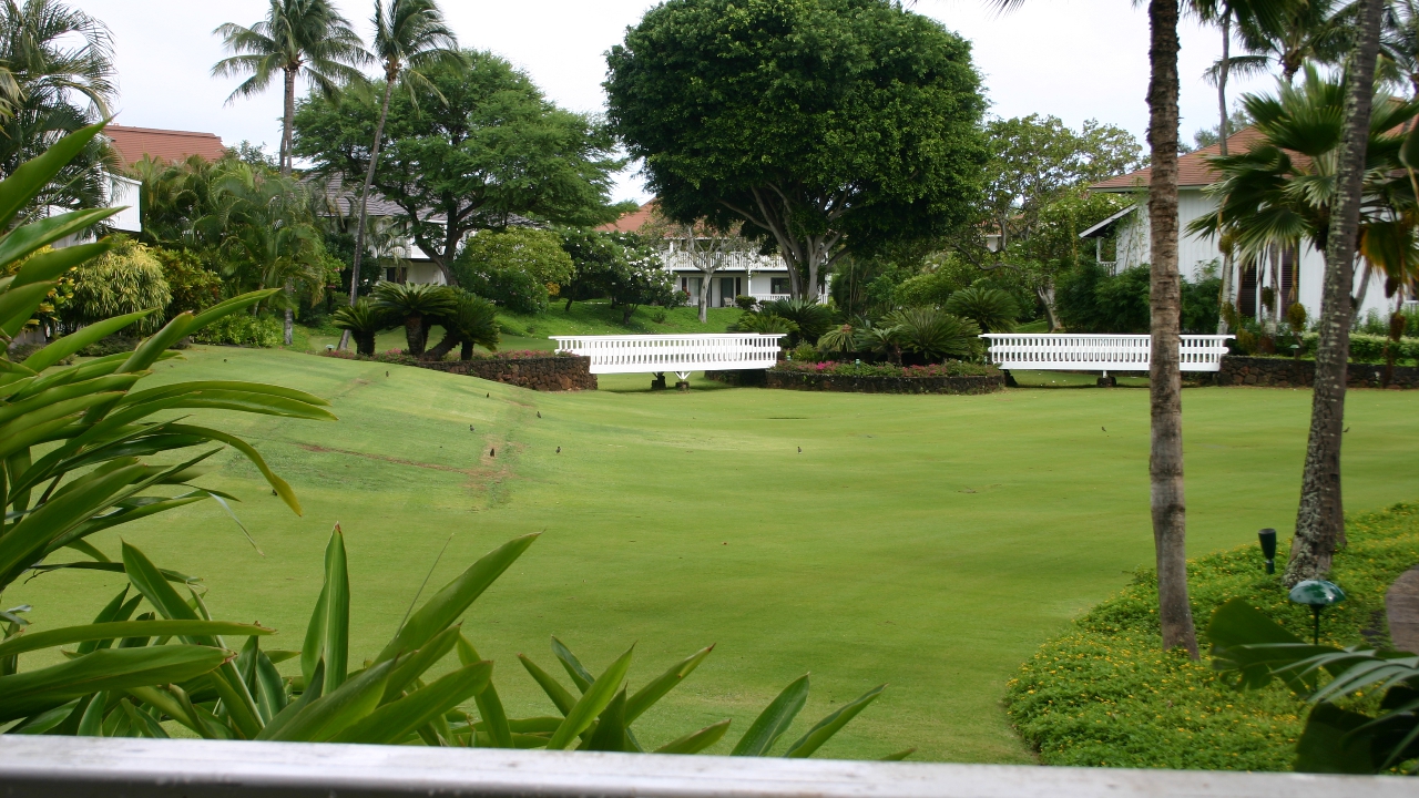 View from the Lanai