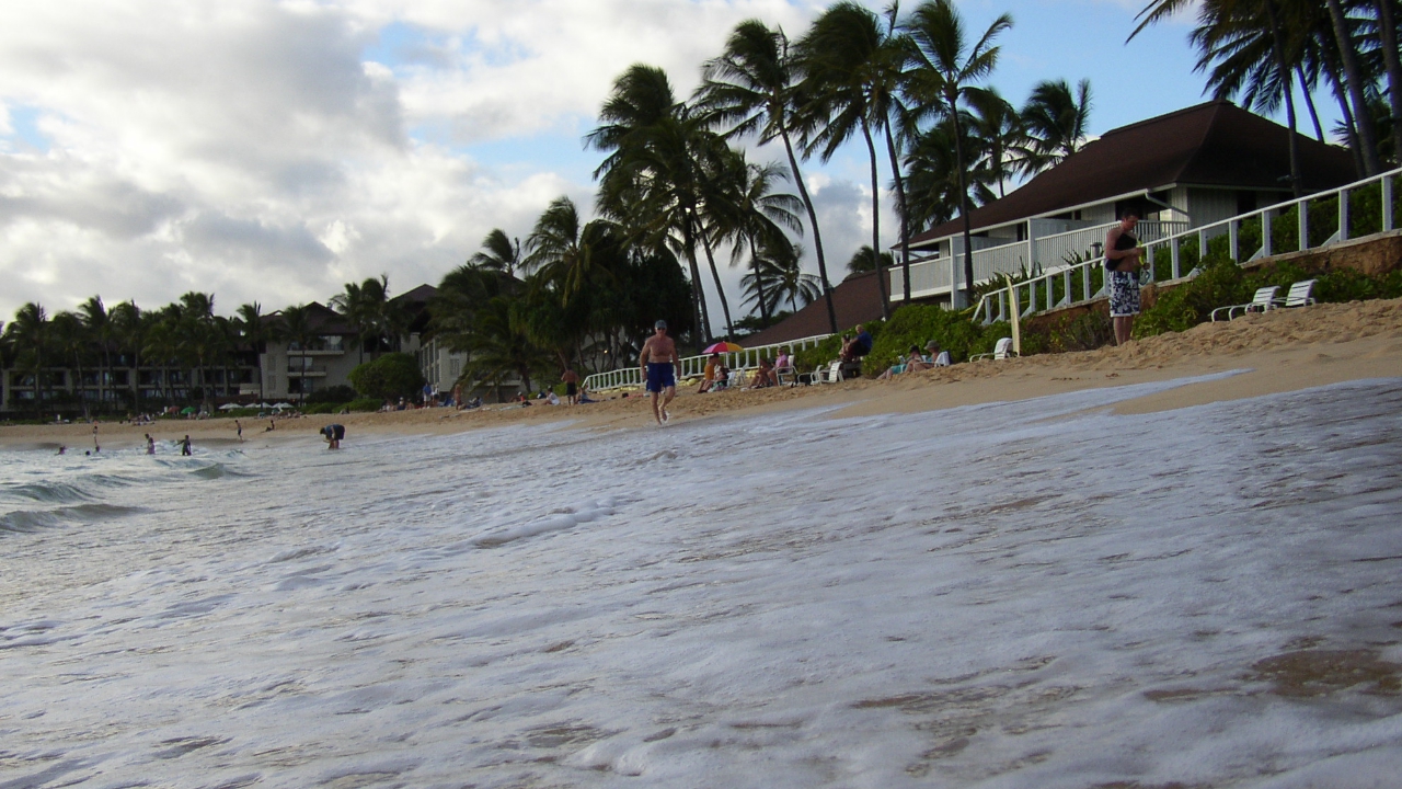 Surfs Up_3
