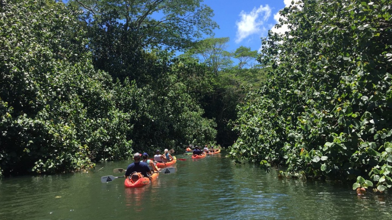 Hanalei River 1