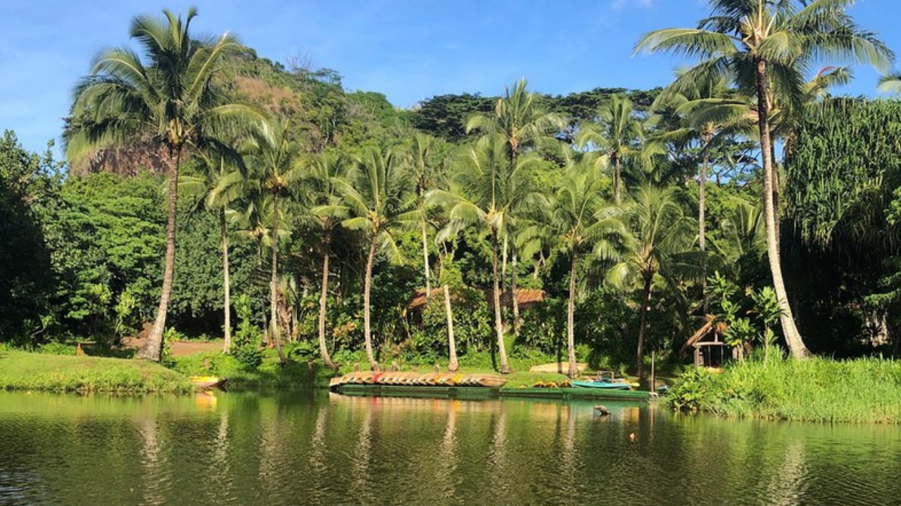 Hanalei River 2