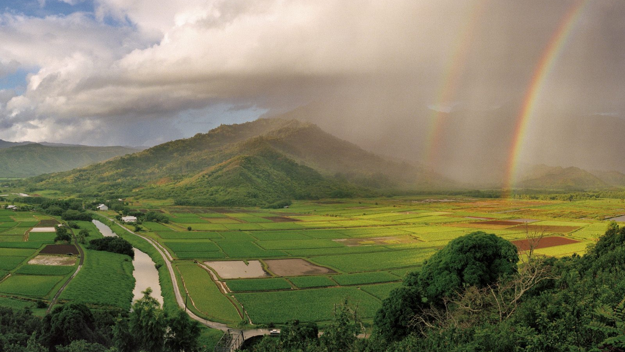 Hanalei River Valley 1