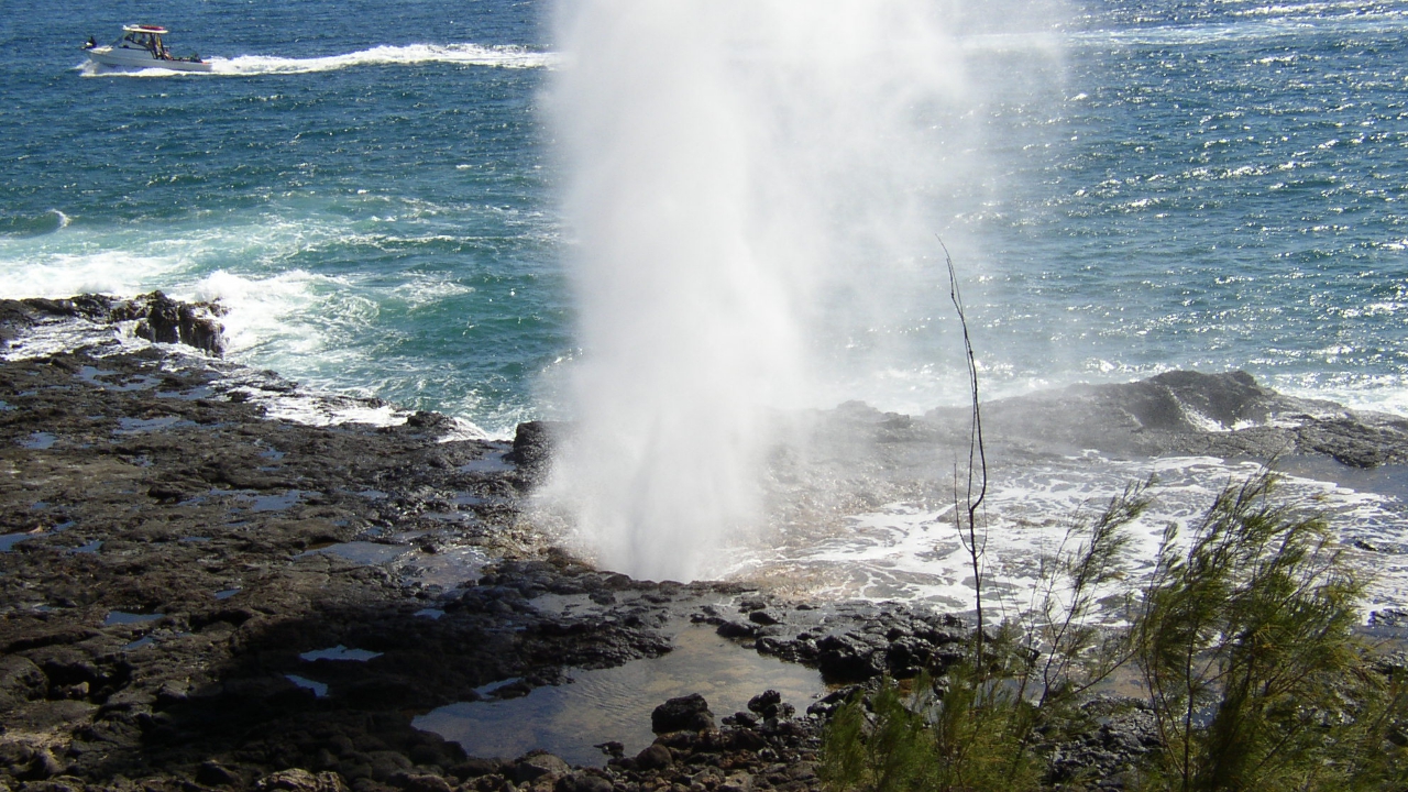 Spouting Horn 1