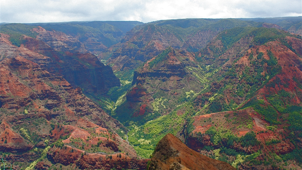 Waimea Canyon State Park 3